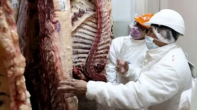 Alberto Williams sobre las exportaciones de carne Alberto Williams sobre las exportaciones de carne