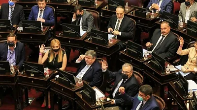 Acuerdo con el FMI: el documento de los senadores para explicar por qué votaron en contra Acuerdo con el FMI: el documento de los senadores para explicar por qué votaron en contra
