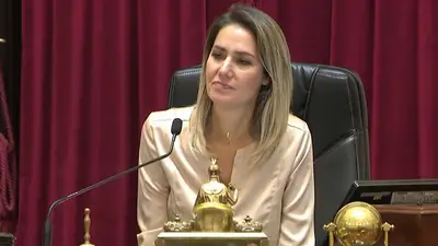 El furcio de Carolina Losada en el debate por la reforma laboral: "No hay nada más esclavo que trabajar en blanco" El furcio de Carolina Losada en el debate por la reforma laboral: "No hay nada más esclavo que trabajar en blanco"