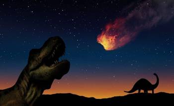 Descubren en Argentina una nueva especie de dinosaurio que vivió hace 95 millones de años | Arqueología