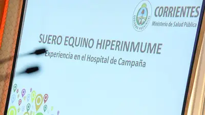 COVID-19: aseguran que el Suero Equino Hiperinmune reduce un 42% la mortalidad en pacientes graves COVID-19: aseguran que el Suero Equino Hiperinmune reduce un 42% la mortalidad en pacientes graves