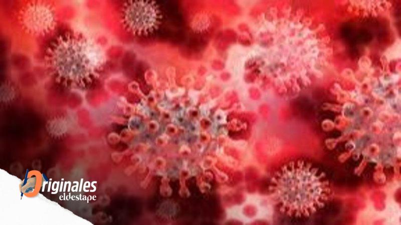 Coronavirus: ya está en la CABA el subtipo de Ómicron BA.2
