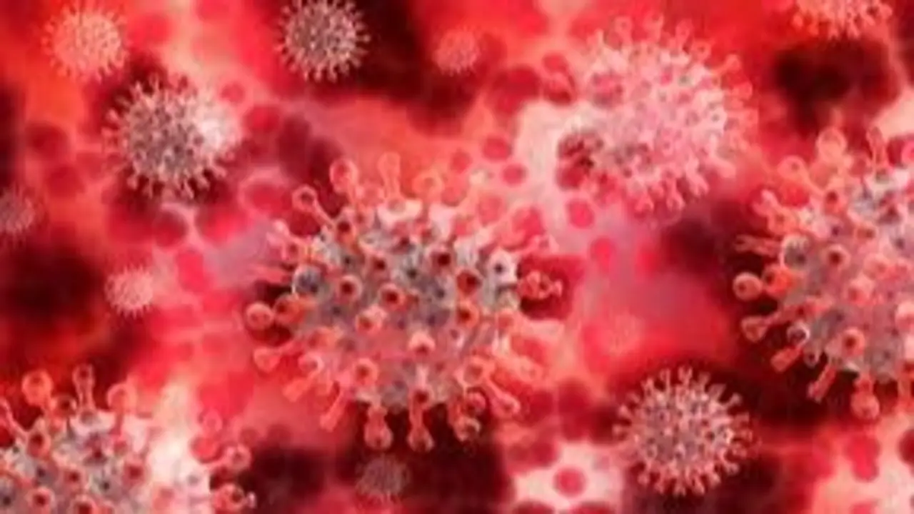 Coronavirus: ya está en la CABA el subtipo de Ómicron BA.2