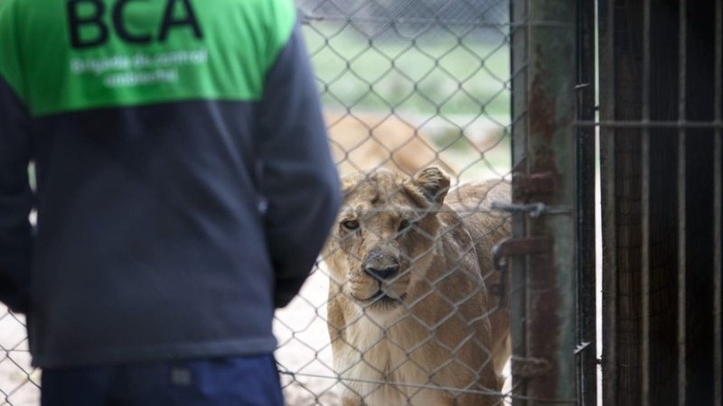 La Justicia falló a favor de Ambiente, querellante en una causa contra el Zoo de Luján