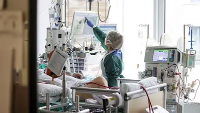 La OMS reveló que las muertes por Covid-19 descienden a niveles de marzo de 2020 La OMS reveló que las muertes por Covid-19 descienden a niveles de marzo de 2020