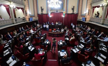Menos legisladores y menos elecciones: los detalles de la unicameral bonaerense | Legislatura bonaerense
