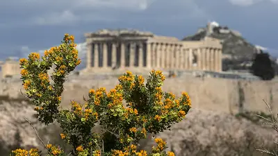 Grecia Grecia