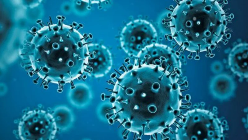 Influenza: argentinos crearon una app de Inteligencia Artificial casi infalible para clasificar virus
