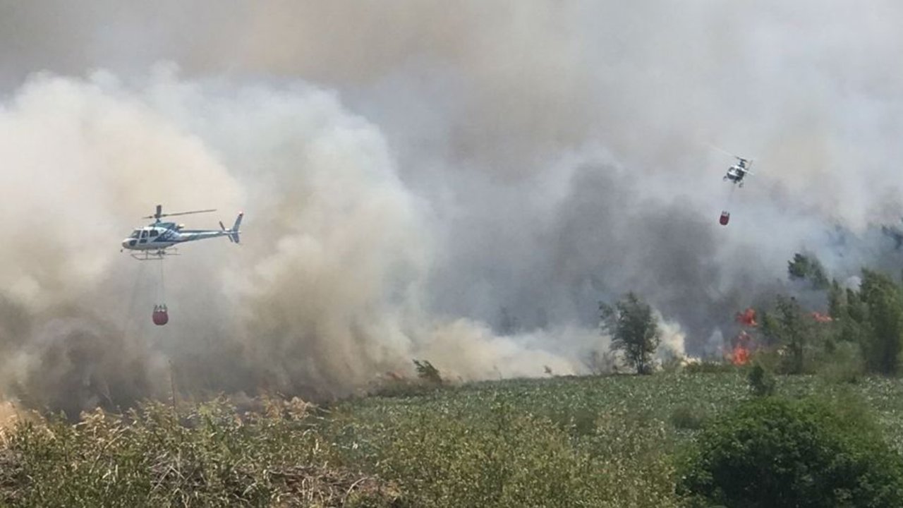 Incendio cerca de Atucha en Zárate: "Está bajo control"