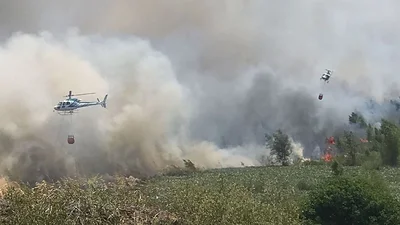 Incendio cerca de Atucha en Zárate: "Está bajo control" Incendio cerca de Atucha en Zárate: "Está bajo control"