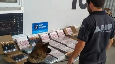 La Aduana incautó 483 vinilos de Vilma Palma e Vampiros valuados en $5 millones La Aduana incautó 483 vinilos de Vilma Palma e Vampiros valuados en $5 millones