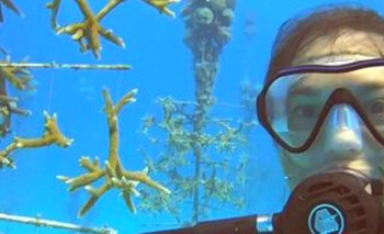 La científica argentina encargada de recuperar el arrecife de coral en EEUU | Cambio climático