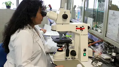 La UBA trabaja en un tratamiento para combatir la enfermedad que tenía Lionel Messi La UBA trabaja en un tratamiento para combatir la enfermedad que tenía Lionel Messi