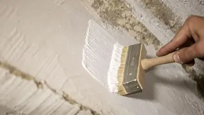 Pintura con cal Pintura con cal