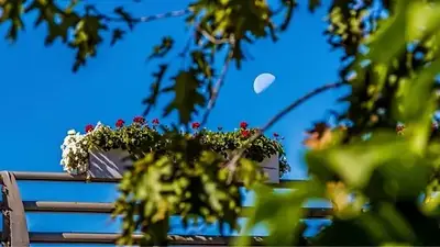 Luna de día Luna de día