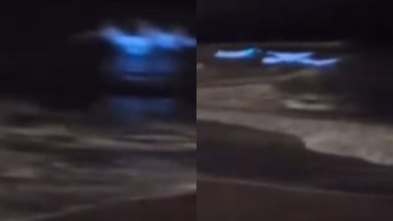 Olas fluorescentes en Mar del Plata