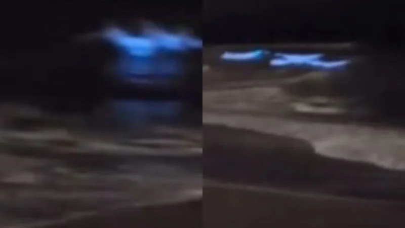 Olas fluorescentes en Mar del Plata