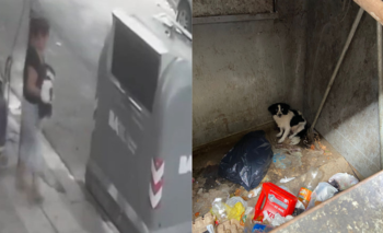 Una mujer tiró a la basura a su perra y quedó expuesta en un video | Animales