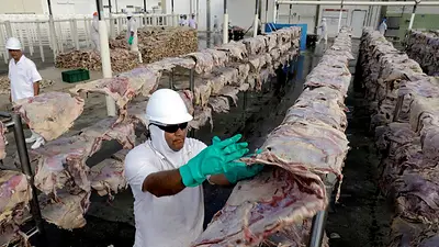 En tiempo récord, Brasil reabrió la venta de carne a China En tiempo récord, Brasil reabrió la venta de carne a China