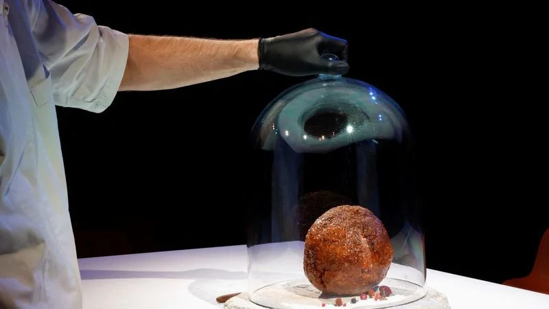 Presentan en Países Bajos una albóndiga gigante hecha con carne de mamut extinto