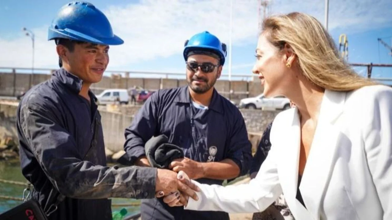 Royon adelantó que buscan constituir un "mercado sudamericano de la energía"
