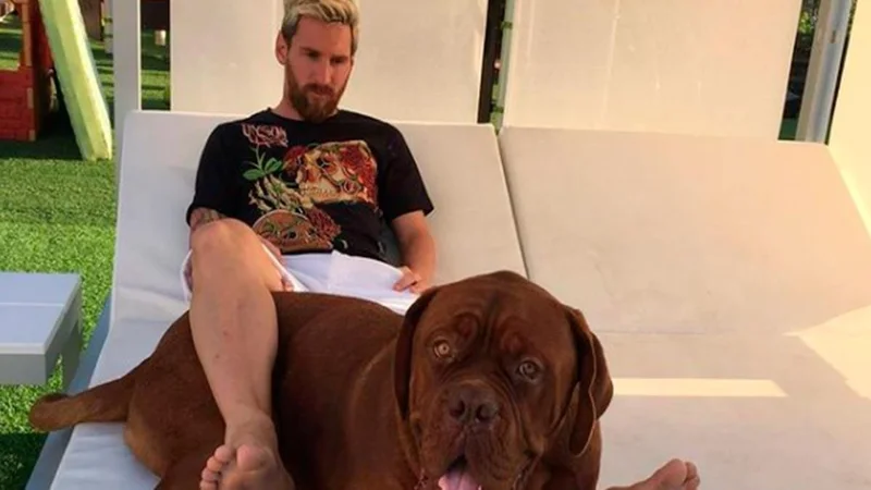 Cómo se llama el perro de Messi y de qué raza es