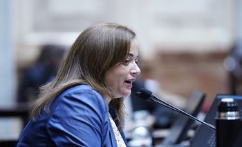 Cecilia Moreau: “los senadores de Juntos por el Cambio no tienen empatía" | Cámara de diputados
