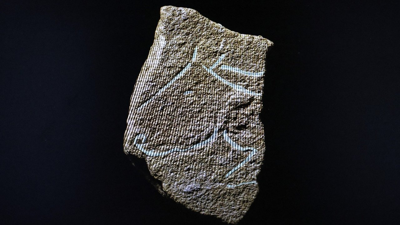 Arqueología-Francia
