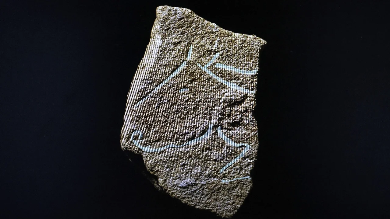 Arqueología-Francia