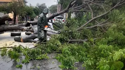 Corrientes sufre "la peor catástrofe natural" por inundaciones tras 300 mm de lluvia Corrientes sufre "la peor catástrofe natural" por inundaciones tras 300 mm de lluvia