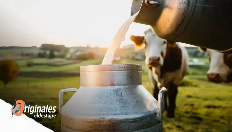 Crisis alimentaria: cierre de tambos, despidos y baja del 11% en el consumo de leche