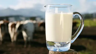 Leche. Leche.
