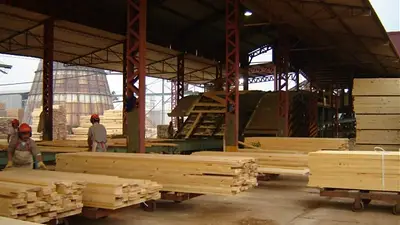 La motosierra de Milei llegó a las Pymes: cómo afectan los recortes a la industria local La motosierra de Milei llegó a las Pymes: cómo afectan los recortes a la industria local