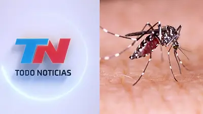 TN. Dengue TN. Dengue