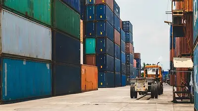 Cuál fue la provincia que aumentó sus exportaciones en 2023 y logró ingresos por 199 millones de dólares Cuál fue la provincia que aumentó sus exportaciones en 2023 y logró ingresos por 199 millones de dólares
