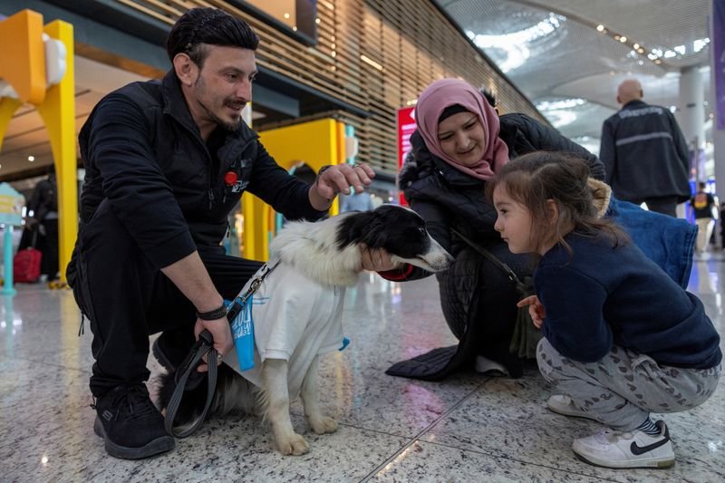 Perros de terapia reconfortan a pasajeros en el aeropuerto de Estambul | El  Destape