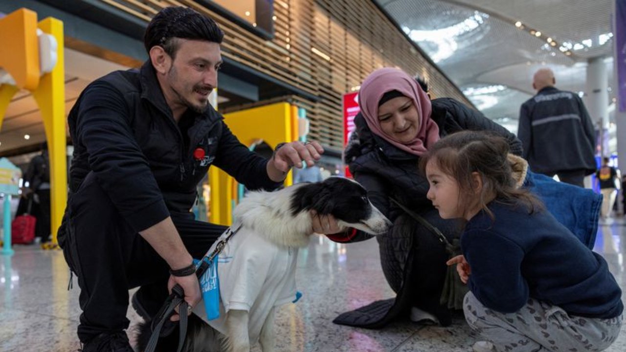 Perros de terapia reconfortan a pasajeros en el aeropuerto de Estambul
