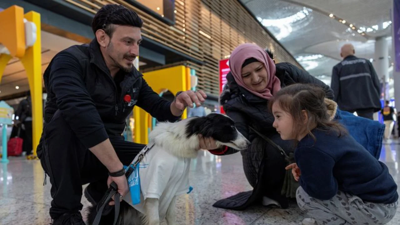 Perros de terapia reconfortan a pasajeros en el aeropuerto de Estambul