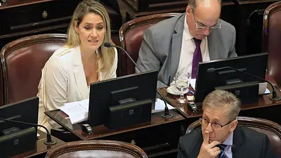 Alineados con el Gobierno, desde la UCR impulsan un proyecto para aumentar penas por falsas denuncias de violencia sexual y de género Alineados con el Gobierno, desde la UCR impulsan un proyecto para aumentar penas por falsas denuncias de violencia sexual y de género