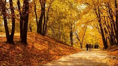 Cuándo empieza el otoño en Argentina Cuándo empieza el otoño en Argentina
