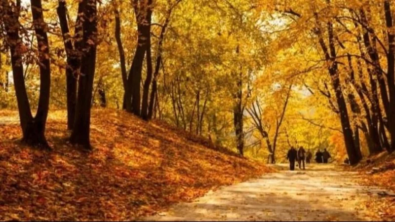 Cuándo empieza el otoño en Argentina