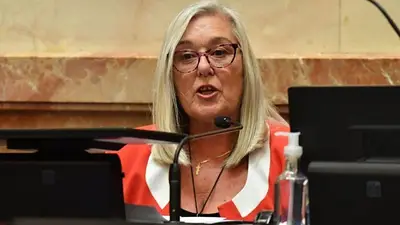 Una senadora de la UCR recibió amenazas de muerte tras votar contra el DNU de Milei Una senadora de la UCR recibió amenazas de muerte tras votar contra el DNU de Milei