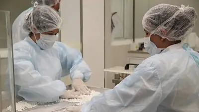 Novedoso: cuál es la provincia argentina que cuenta con producción propia de paracetamol e ibuprofeno Novedoso: cuál es la provincia argentina que cuenta con producción propia de paracetamol e ibuprofeno