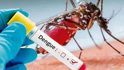 Dengue: confirmaron los centros de atención para este fin de semana largo Dengue: confirmaron los centros de atención para este fin de semana largo
