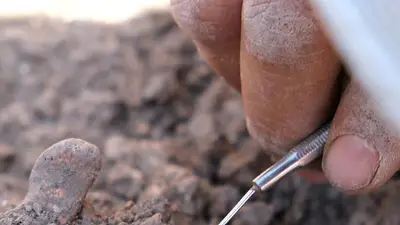Los antiguos humanos tenían piercings como nosotros, descubren arqueólogos en Turquía Los antiguos humanos tenían piercings como nosotros, descubren arqueólogos en Turquía