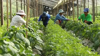 Cómo repercute en las provincias el cierre del Instituto de Agricultura Familiar, Campesina e Indígena Cómo repercute en las provincias el cierre del Instituto de Agricultura Familiar, Campesina e Indígena