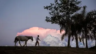 Semana Santa: el destino turístico de Formosa que combina naturaleza y buena gastronomía Semana Santa: el destino turístico de Formosa que combina naturaleza y buena gastronomía