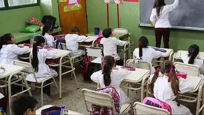 El Gobierno ajusta en educación: no realizará la compra de libros escolares para 2024 El Gobierno ajusta en educación: no realizará la compra de libros escolares para 2024