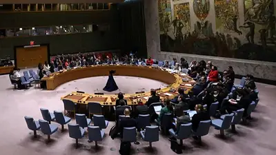 El Consejo de Seguridad de la ONU rechazó a una nueva propuesta de "cese al fuego" en Gaza El Consejo de Seguridad de la ONU rechazó a una nueva propuesta de "cese al fuego" en Gaza