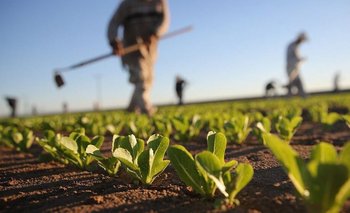 El PAIPPA brinda ayuda a los productores tras el temporal | Alimentos